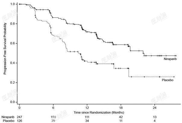 Figure 1. Progression-Free Survival in Patients with HR-Deficient Tumors (Intent-to-Treat Population, n = 373)